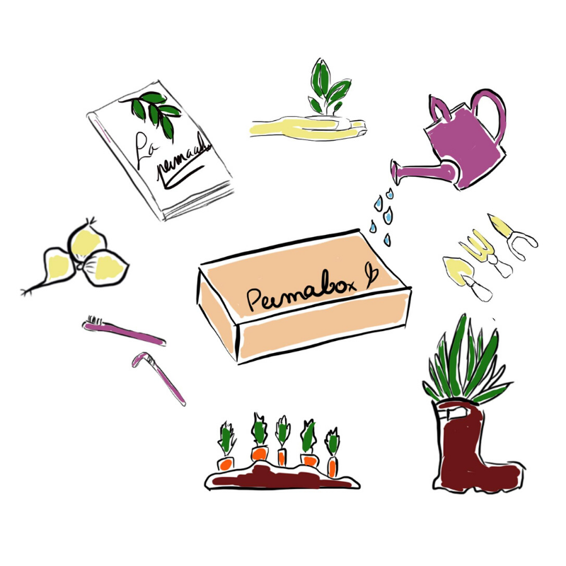 Box de jardinage - Greenabox - Kit graines de potager prêt à