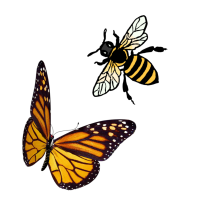 Papillon et abeille qui sont des insectes pollinisateurs